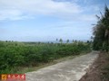 台東都蘭水果園農地-