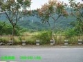 台東土地 - 金富溫泉鄉