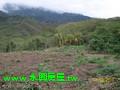 伽路蘭山景農地-1050萬