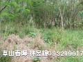 池上車站後農地-4分地