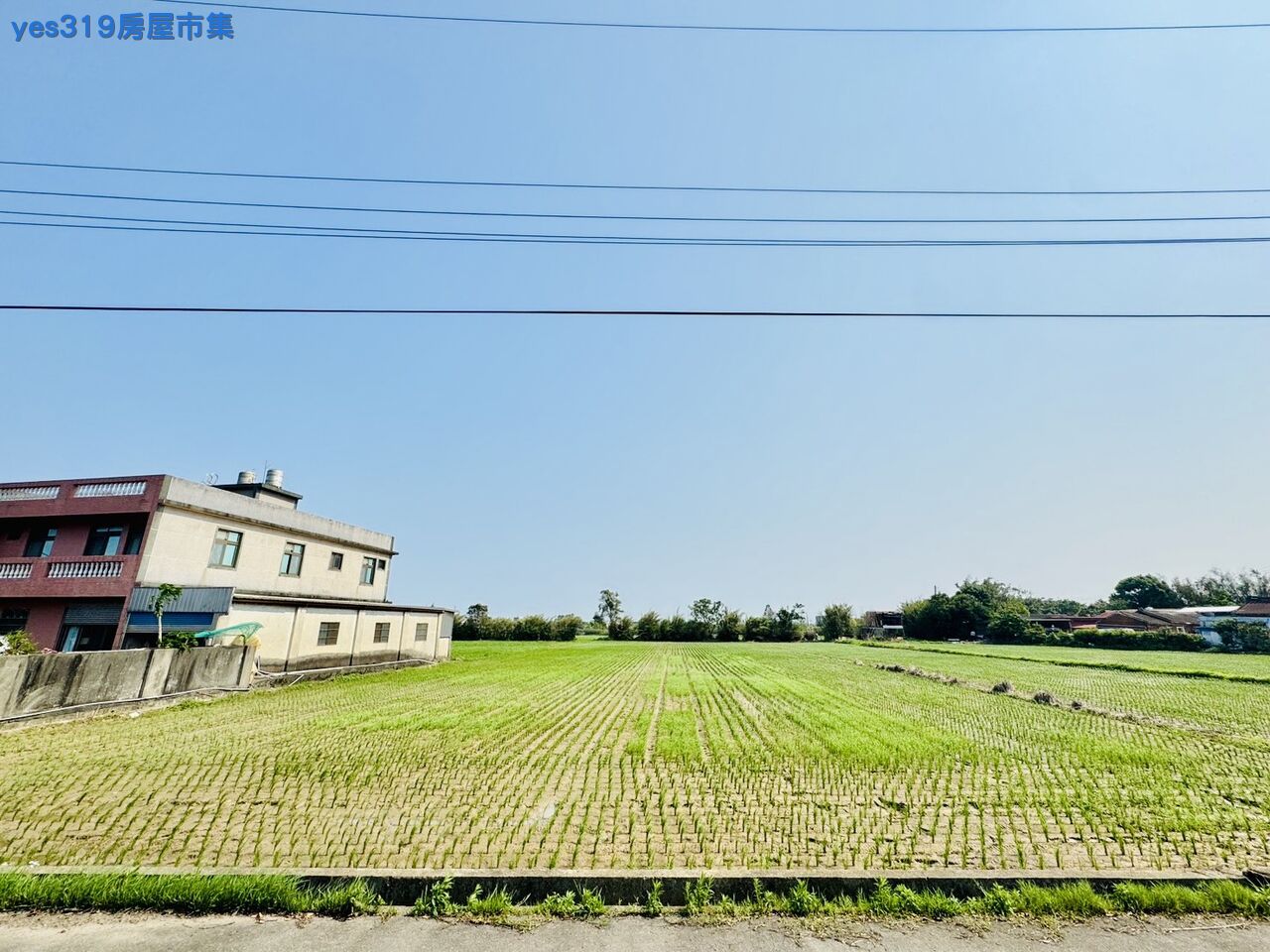 🎯鑫聖專任~新屋上槺榔賠售美田