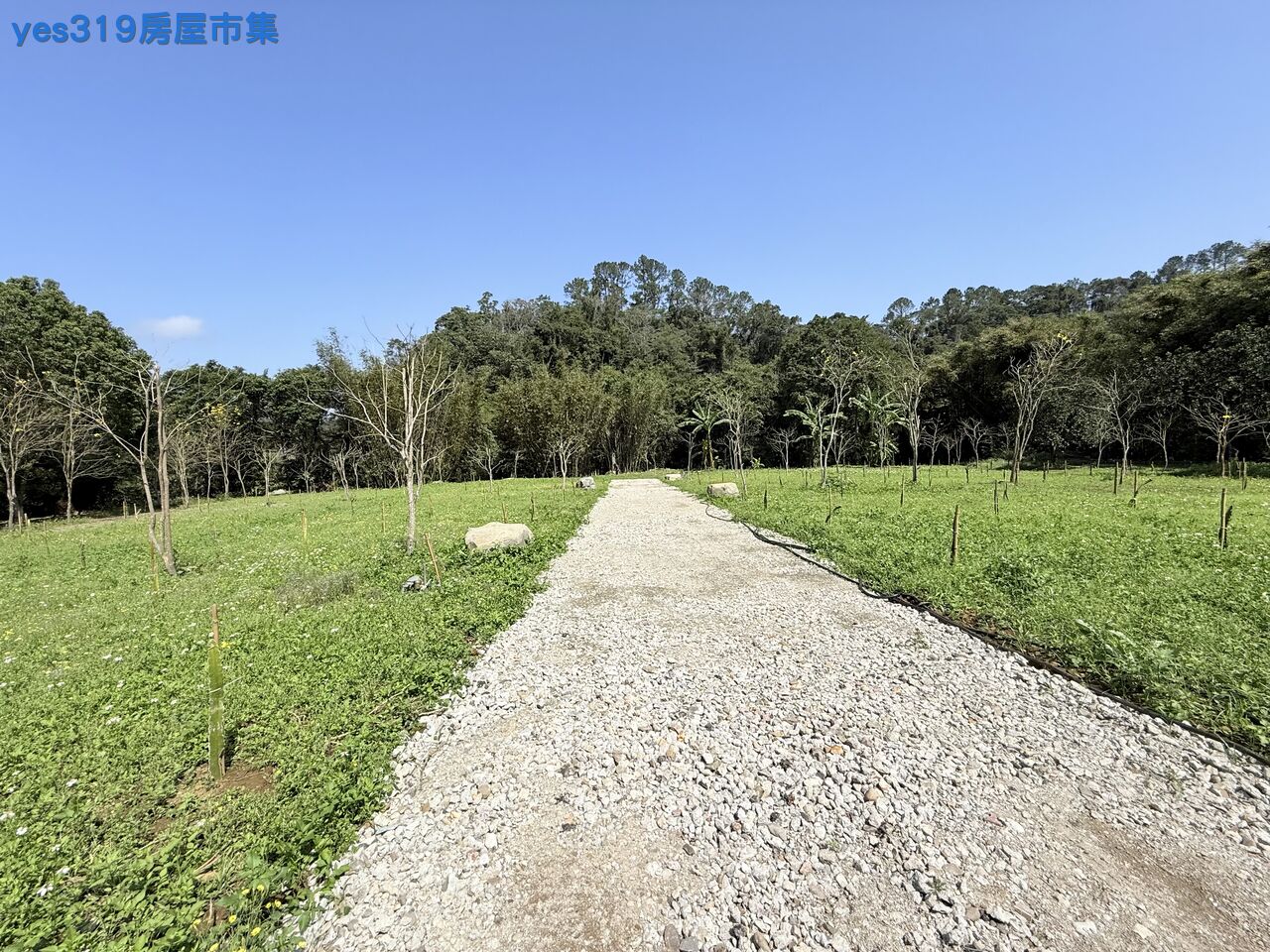 八時分段陽光美地(分七筆出售)