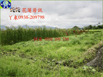 大菜園 綠風景 狠便宜 大菜園 綠風景 狠便宜