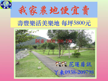 我家農地便宜賣 每坪5800元 我家農地便宜賣 每坪5800元
