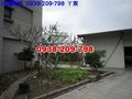 賞 星 月 暮.... 賞 星 月 暮....