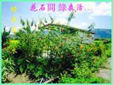 花石間 綠森活 花石間 綠森活