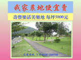 我家農地便宜賣 每坪5800元 我家農地便宜賣 每坪5800元