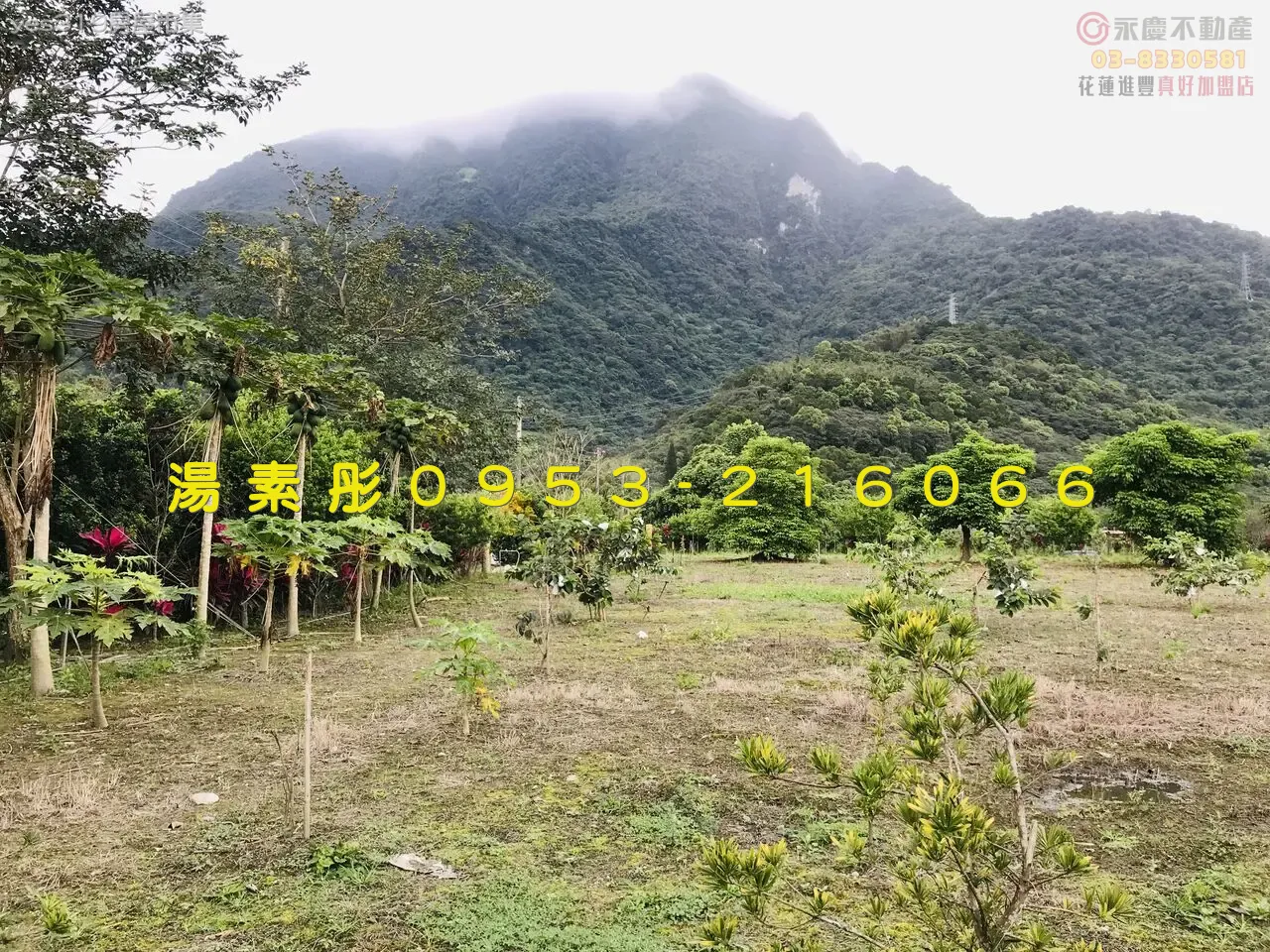 專售~花蓮市漂亮農地~我的花果園