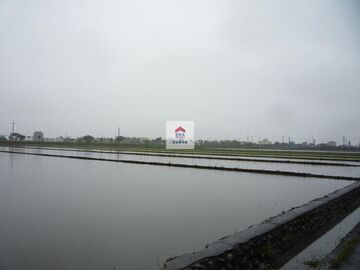 中興稻香足坪農地 中興稻香足坪農地