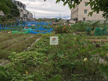 宜蘭市藏富建地 宜蘭市藏富建地