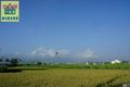冬山河畔農地 冬山河畔農地