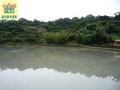 冬山財源方正農地 冬山財源方正農地
