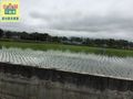 三星水岸面寬2分半 三星水岸面寬2分半