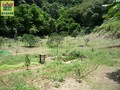 員山山坡地 員山山坡地