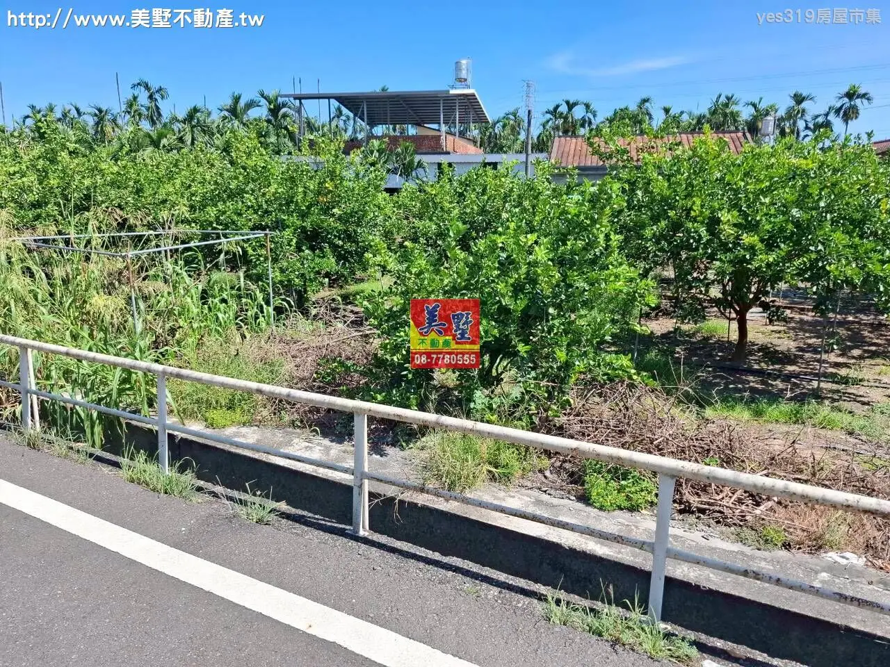 內埔檸檬園都內農地