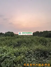 林邊仁和國小都農