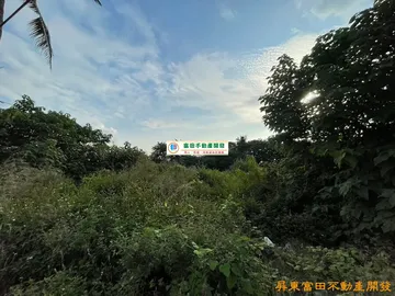 高樹新南農地