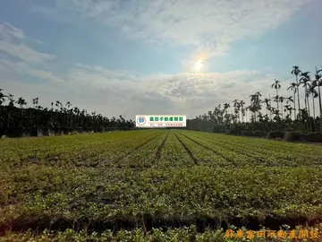 載興方正農地