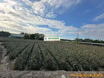 沿山公路山景農地