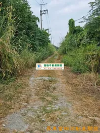 高樹大面積光電示範計劃區