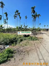 里港便宜農地