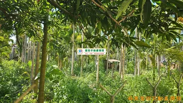 南州全聯都內美地