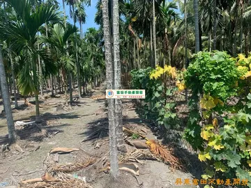 長治交流道優質農地