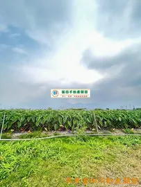 高樹私埤休閒農
