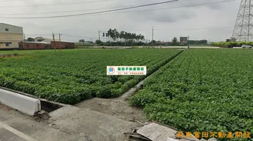 新園大面積建地