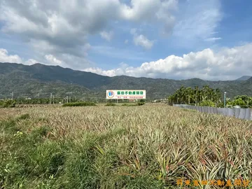 萬巒185沿山美農地