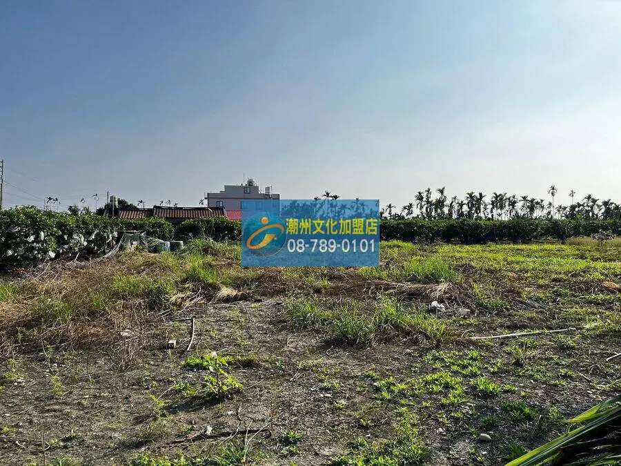 南州大埔方正小農地