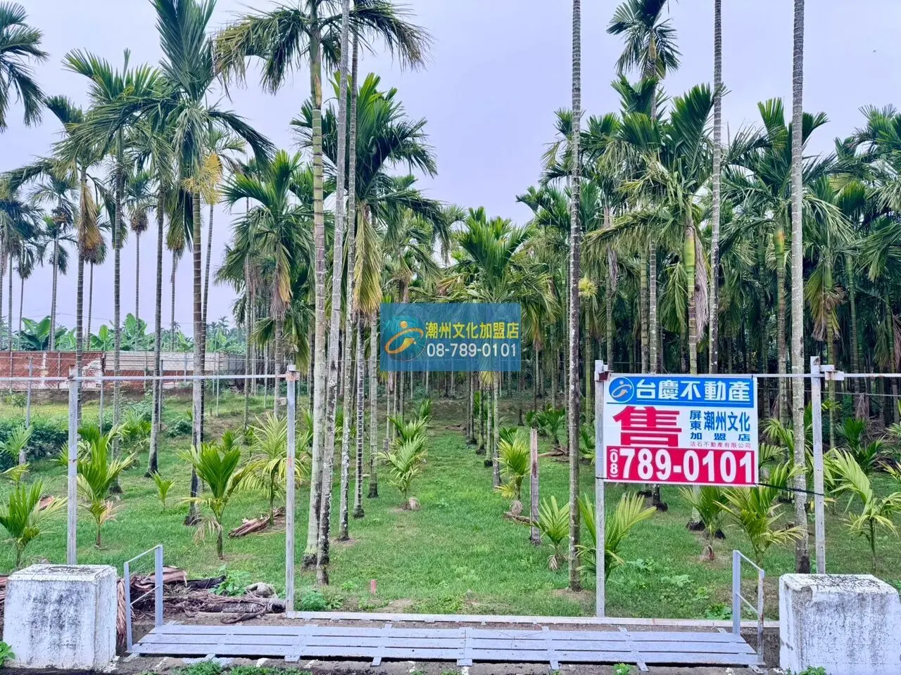 竹田低總價休閒小農地