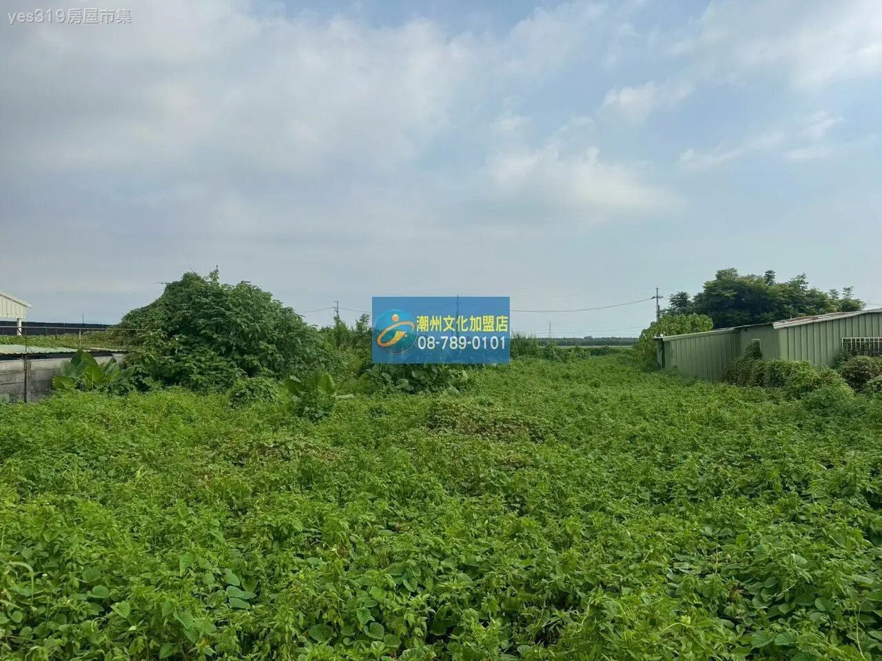 九塊里漂亮有電小農地