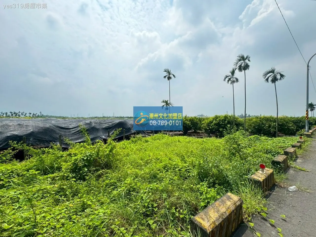 南州國道旁小農地