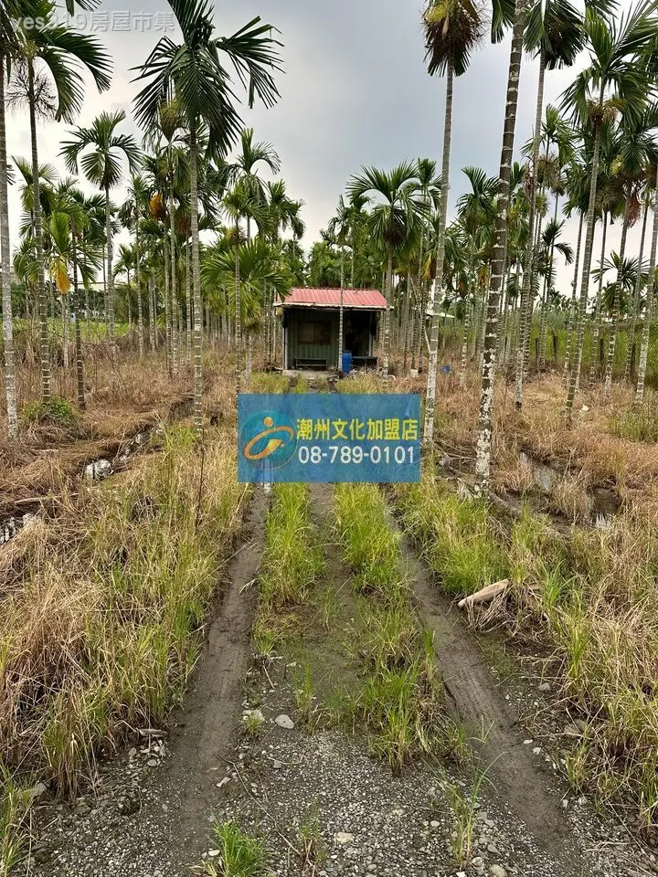 竹田美崙前後路農地